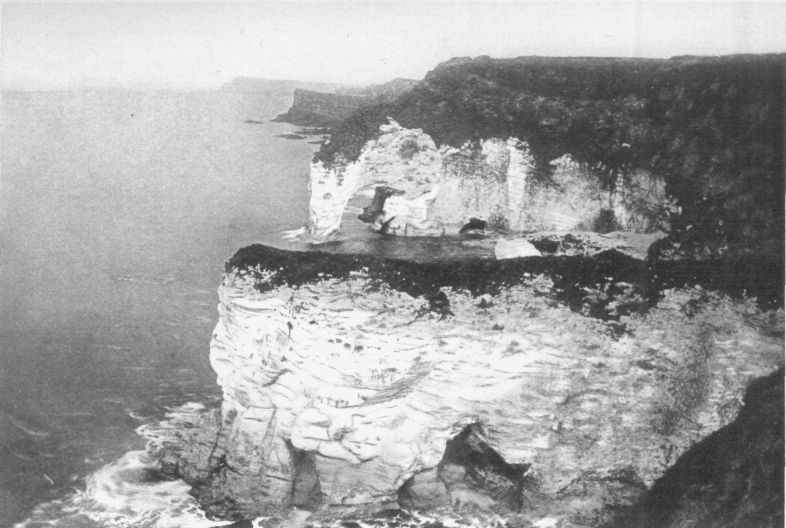 WHITE ROCKS, PORTRUSH.