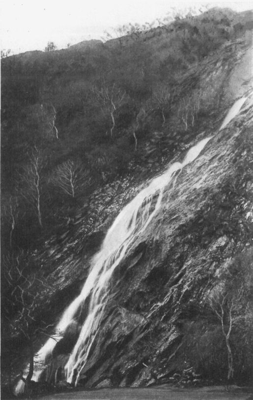 POWERSCOURT WATERFALL, CO. WICKLOW.
