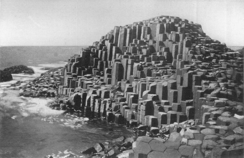 HONEYCOMB, GIANT'S CAUSEWAY.